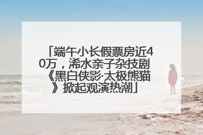 端午小长假票房近40万，浠水亲子杂技剧《黑白侠影·太极熊猫》掀起观演热潮