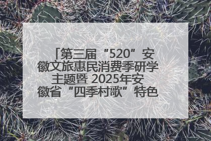 第三届“520”安徽文旅惠民消费季研学主题暨 2025年安徽省“四季村歌”特色展演燃动池州