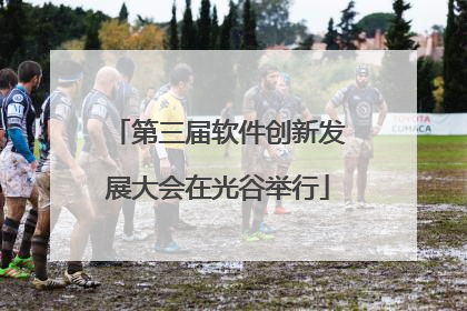 第三届软件创新发展大会在光谷举行