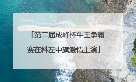 第二届成峰杯牛王争霸赛在科左中旗激情上演