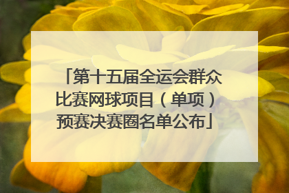 第十五届全运会群众比赛网球项目（单项）预赛决赛圈名单公布