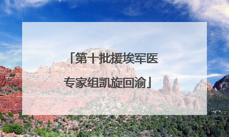 第十批援埃军医专家组凯旋回渝