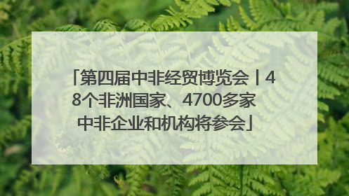 第四届中非经贸博览会丨48个非洲国家、4700多家中非企业和机构将参会