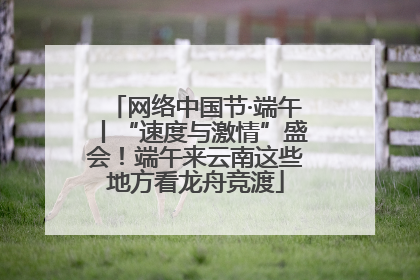 网络中国节·端午丨“速度与激情”盛会！端午来云南这些地方看龙舟竞渡