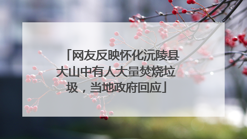 网友反映怀化沅陵县大山中有人大量焚烧垃圾，当地政府回应
