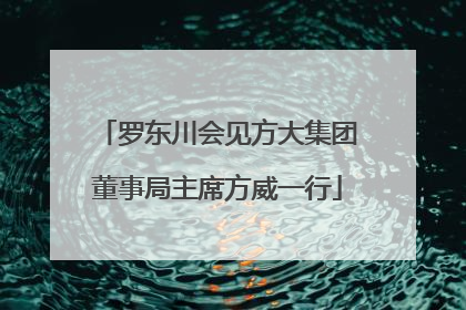 罗东川会见方大集团董事局主席方威一行