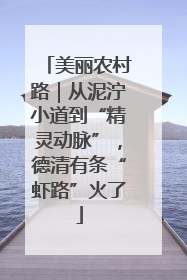 美丽农村路｜从泥泞小道到“精灵动脉”，德清有条“虾路”火了