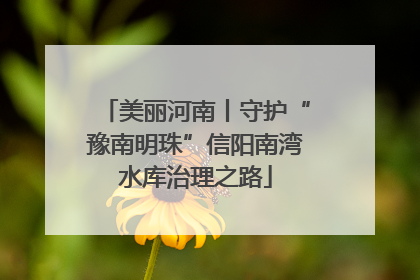 美丽河南丨守护“豫南明珠”信阳南湾水库治理之路
