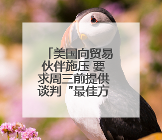 美国向贸易伙伴施压 要求周三前提供谈判“最佳方案”