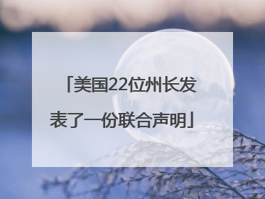 美国22位州长发表了一份联合声明