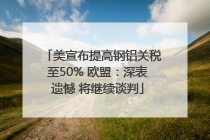 美宣布提高钢铝关税至50% 欧盟：深表遗憾 将继续谈判
