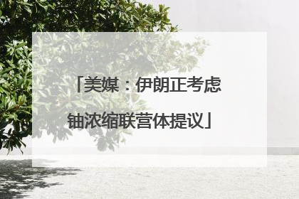 美媒：伊朗正考虑铀浓缩联营体提议