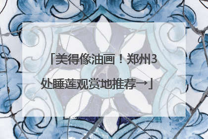 美得像油画！郑州3处睡莲观赏地推荐→