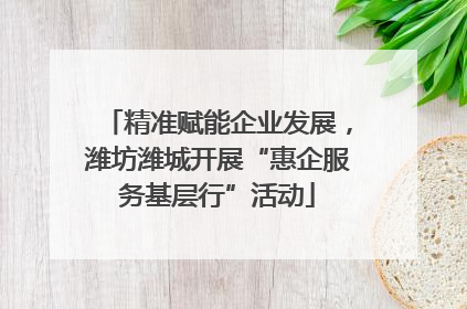 精准赋能企业发展，潍坊潍城开展“惠企服务基层行”活动
