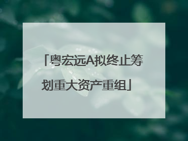 粤宏远A拟终止筹划重大资产重组