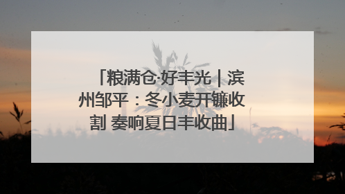 粮满仓·好丰光｜滨州邹平：冬小麦开镰收割 奏响夏日丰收曲