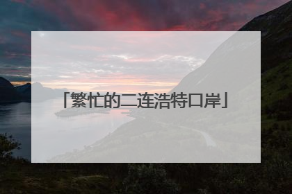 繁忙的二连浩特口岸