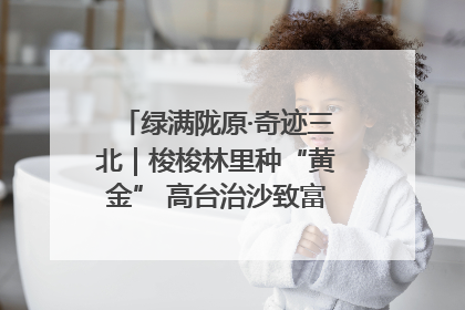 绿满陇原·奇迹三北｜梭梭林里种“黄金” 高台治沙致富很“从容”