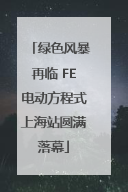 绿色风暴再临 FE电动方程式上海站圆满落幕