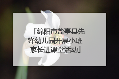 绵阳市盐亭县先锋幼儿园开展小班家长进课堂活动