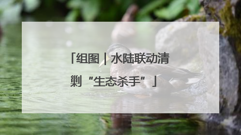 组图｜水陆联动清剿“生态杀手”