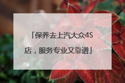 保养去上汽大众4S店，服务专业又靠谱