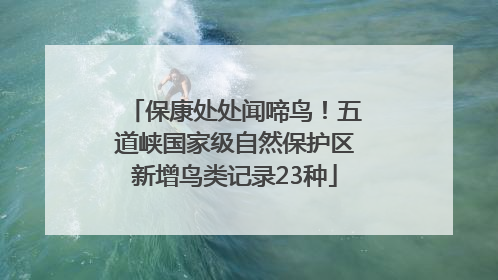保康处处闻啼鸟！五道峡国家级自然保护区新增鸟类记录23种