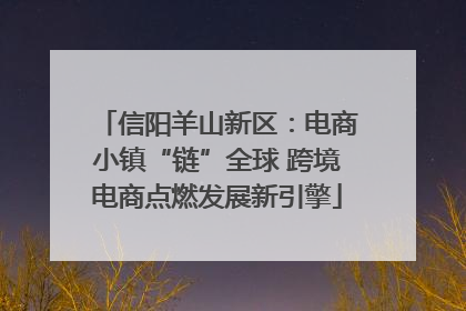 信阳羊山新区：电商小镇“链”全球 跨境电商点燃发展新引擎