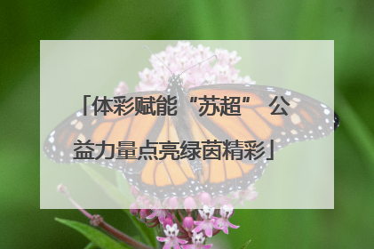 体彩赋能“苏超” 公益力量点亮绿茵精彩