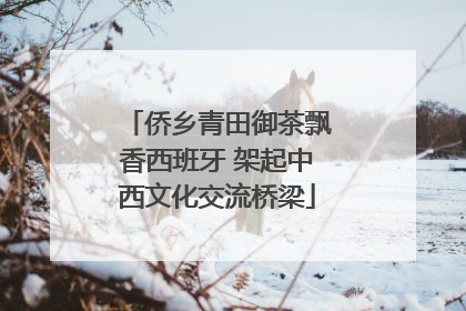 侨乡青田御茶飘香西班牙 架起中西文化交流桥梁