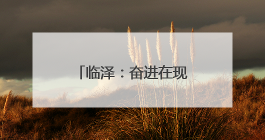 临泽：奋进在现代农业高质量发展的“春天里”