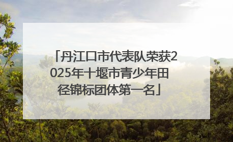 丹江口市代表队荣获2025年十堰市青少年田径锦标团体第一名