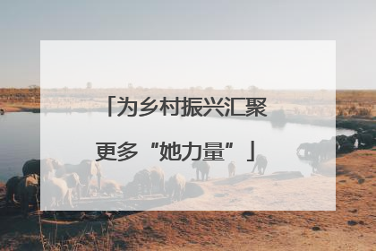 为乡村振兴汇聚更多“她力量”