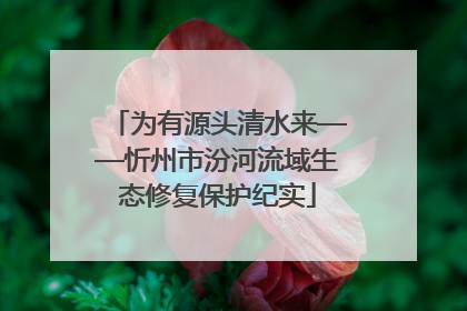 为有源头清水来——忻州市汾河流域生态修复保护纪实