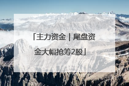 主力资金｜尾盘资金大幅抢筹2股
