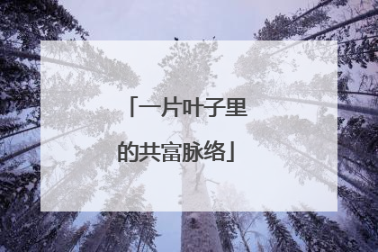 一片叶子里的共富脉络