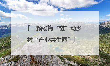 一颗杨梅“链”动乡村“产业共生圈”
