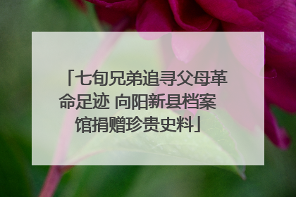 七旬兄弟追寻父母革命足迹 向阳新县档案馆捐赠珍贵史料