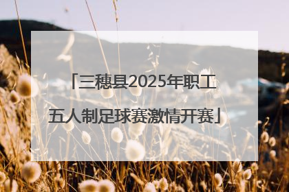 三穗县2025年职工五人制足球赛激情开赛
