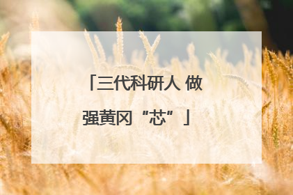 三代科研人 做强黄冈“芯”