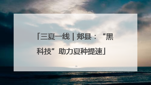 三夏一线｜郏县：“黑科技”助力夏种提速