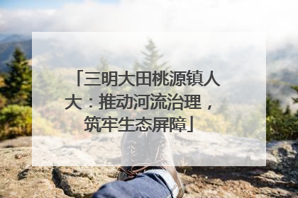 三明大田桃源镇人大：推动河流治理，筑牢生态屏障