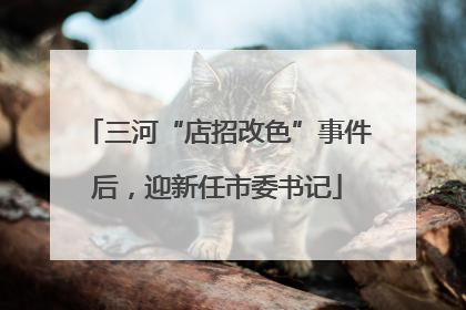 三河“店招改色”事件后，迎新任市委书记