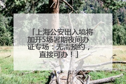 上海公安出入境将加开5场暑期夜间办证专场：无需预约，直接可办！