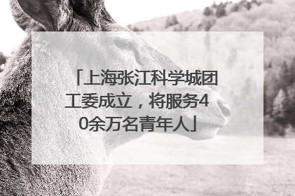 上海张江科学城团工委成立，将服务40余万名青年人