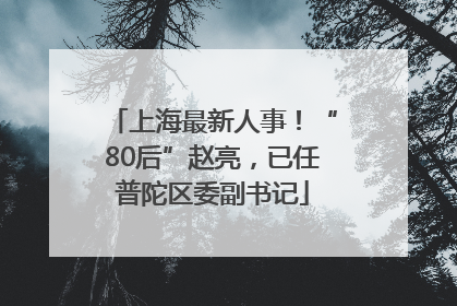 上海最新人事！“80后”赵亮，已任普陀区委副书记