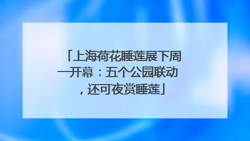 上海荷花睡莲展下周一开幕：五个公园联动，还可夜赏睡莲
