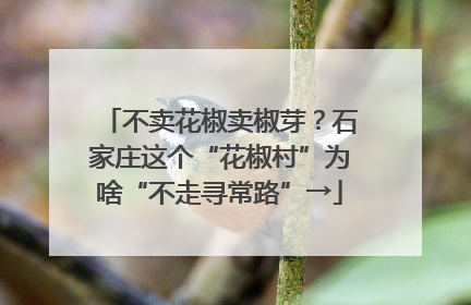 不卖花椒卖椒芽？石家庄这个“花椒村”为啥“不走寻常路”→