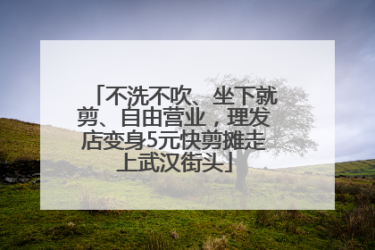 不洗不吹、坐下就剪、自由营业，理发店变身5元快剪摊走上武汉街头
