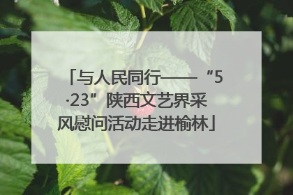 与人民同行——“5·23”陕西文艺界采风慰问活动走进榆林